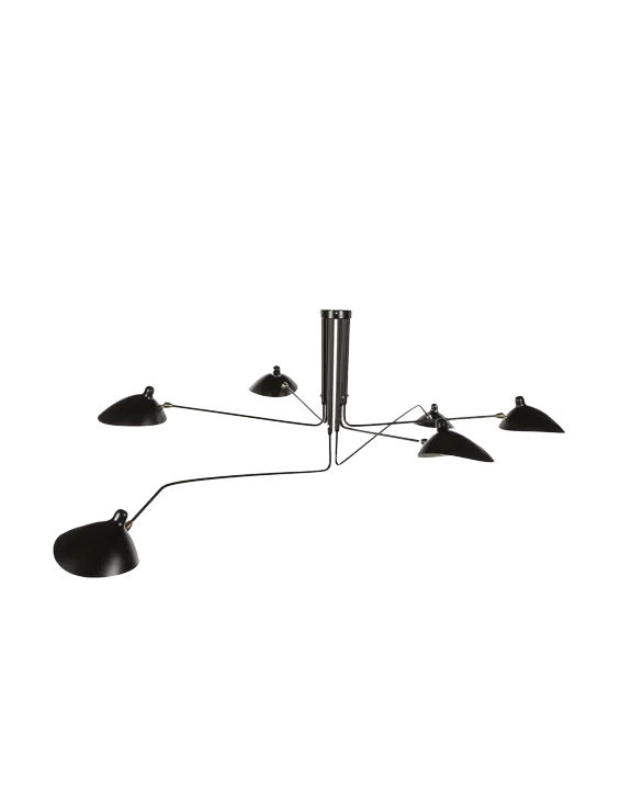 6 ARM LIGHT FIXTURE
