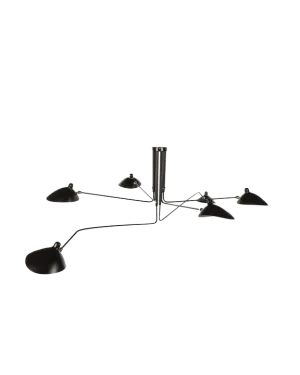 6 ARM LIGHT FIXTURE