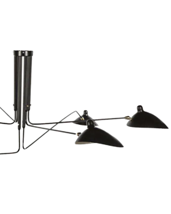 6 ARM LIGHT FIXTURE