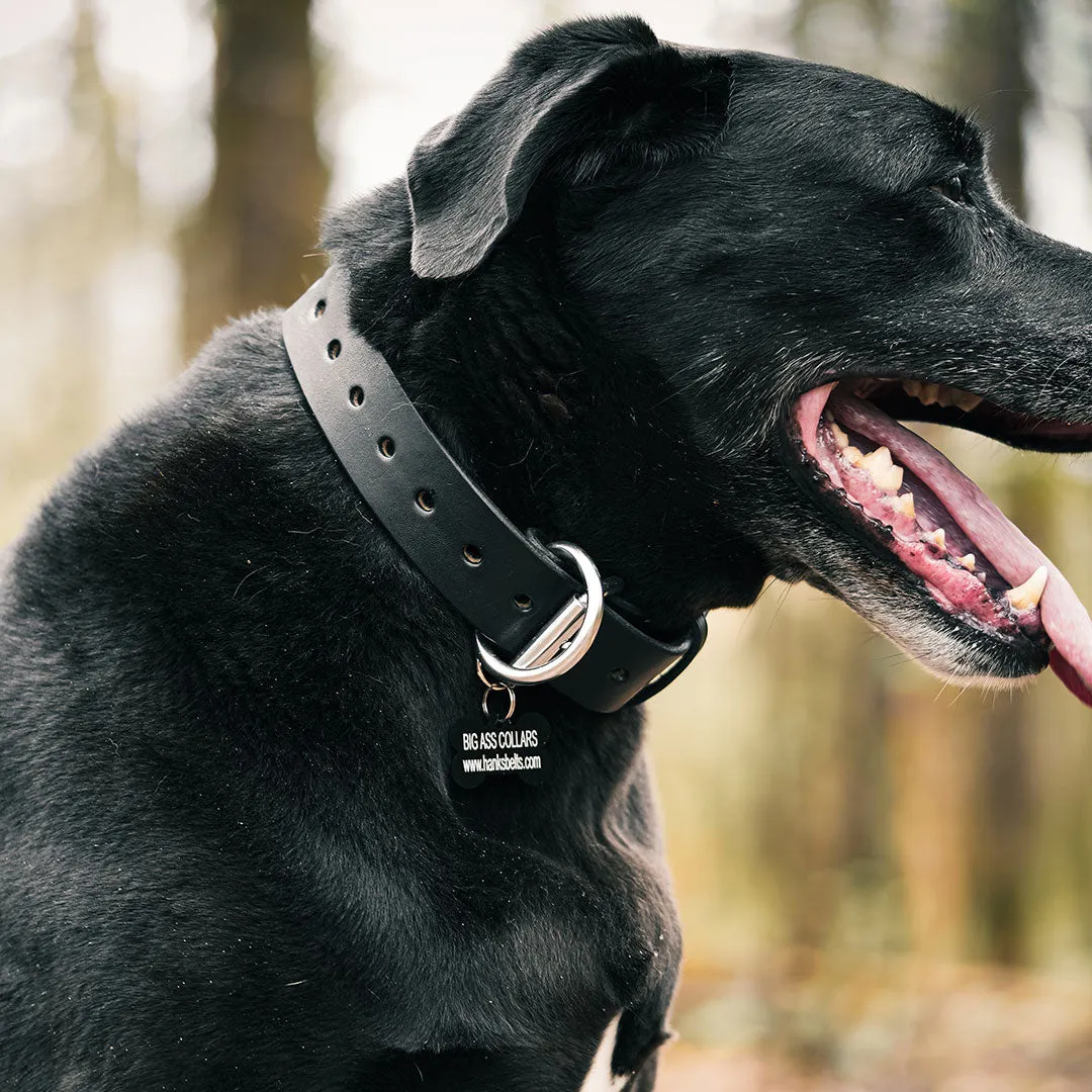 Big Ass Dog Collars for Big Ass Dogs