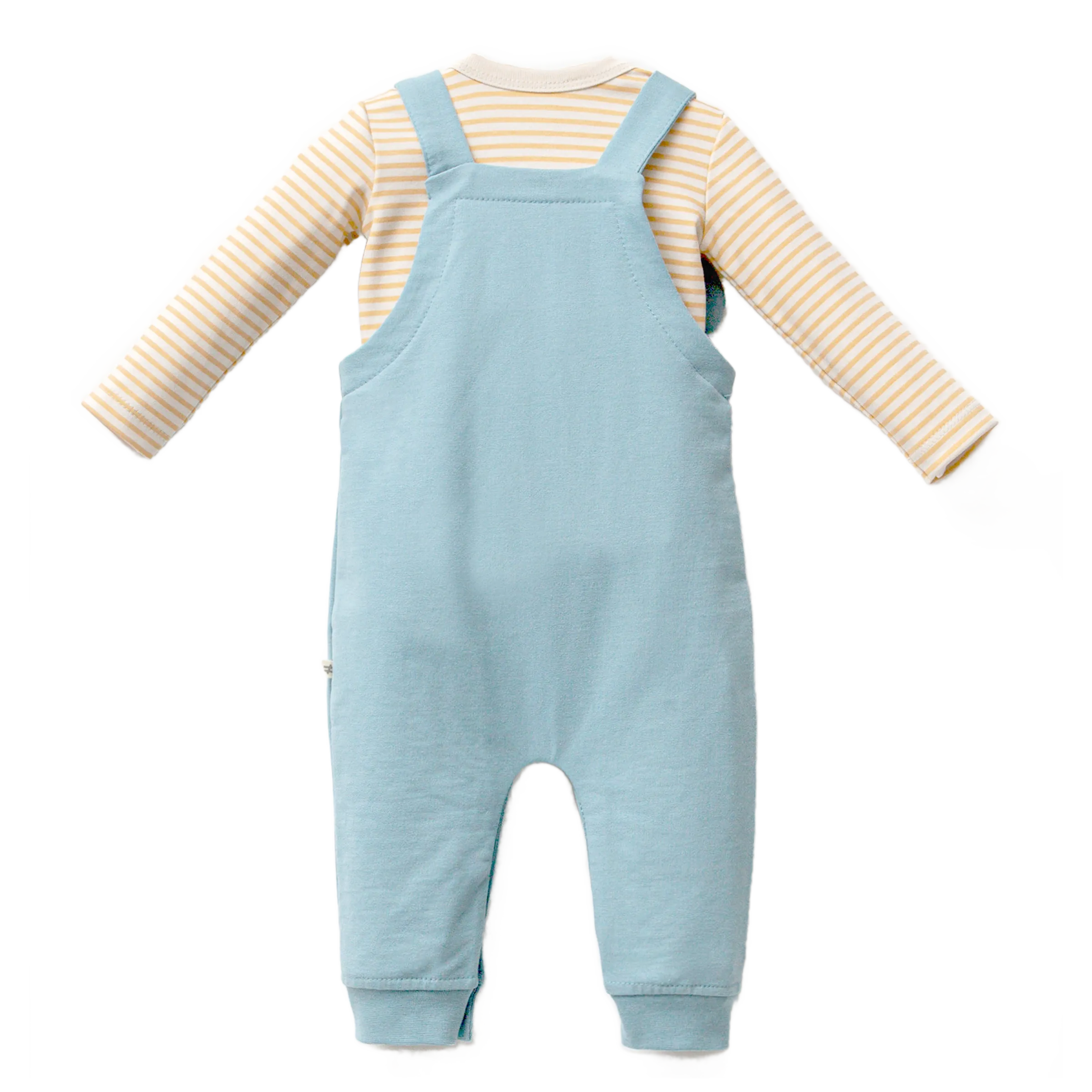 Blue Tiger Overalls Outfit