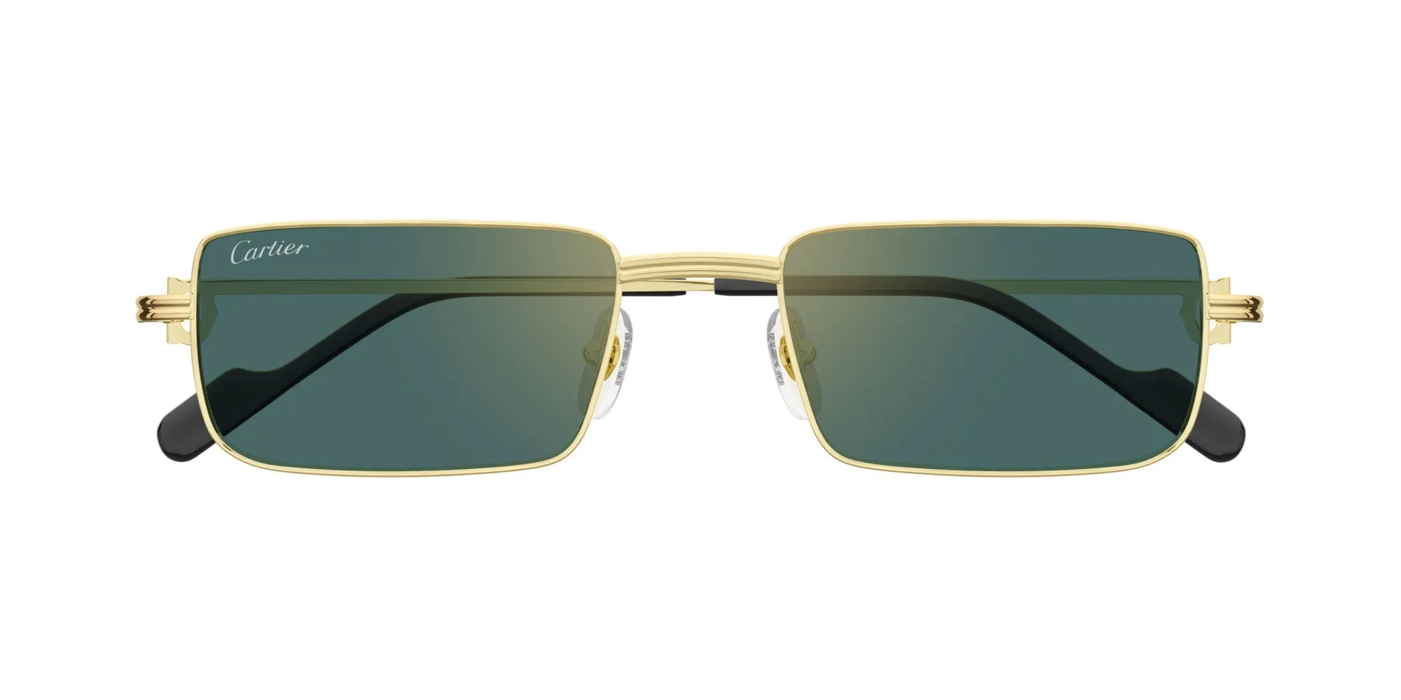 Cartier CT0501S