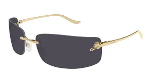 Cartier CT0503S