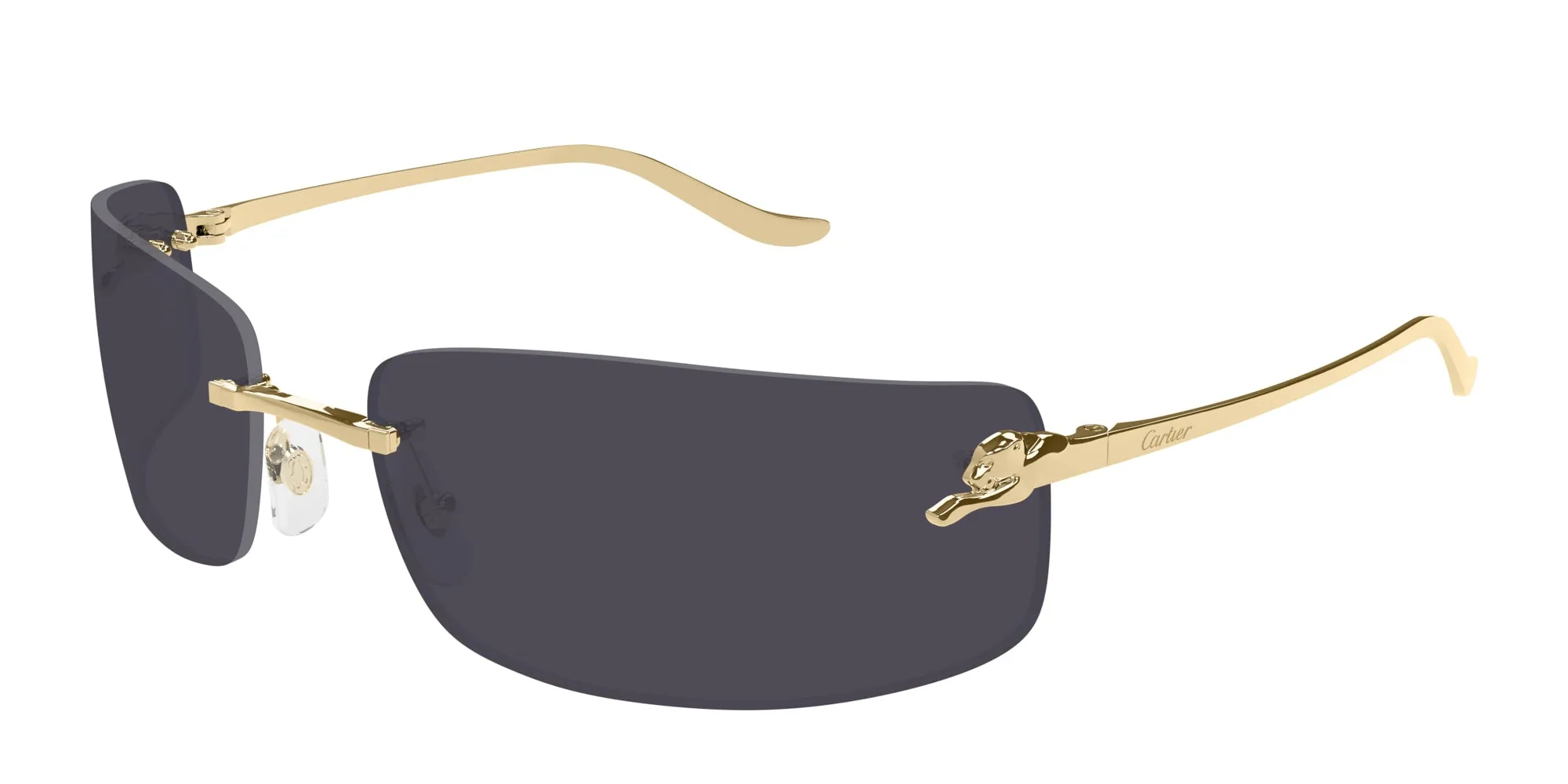 Cartier CT0503S