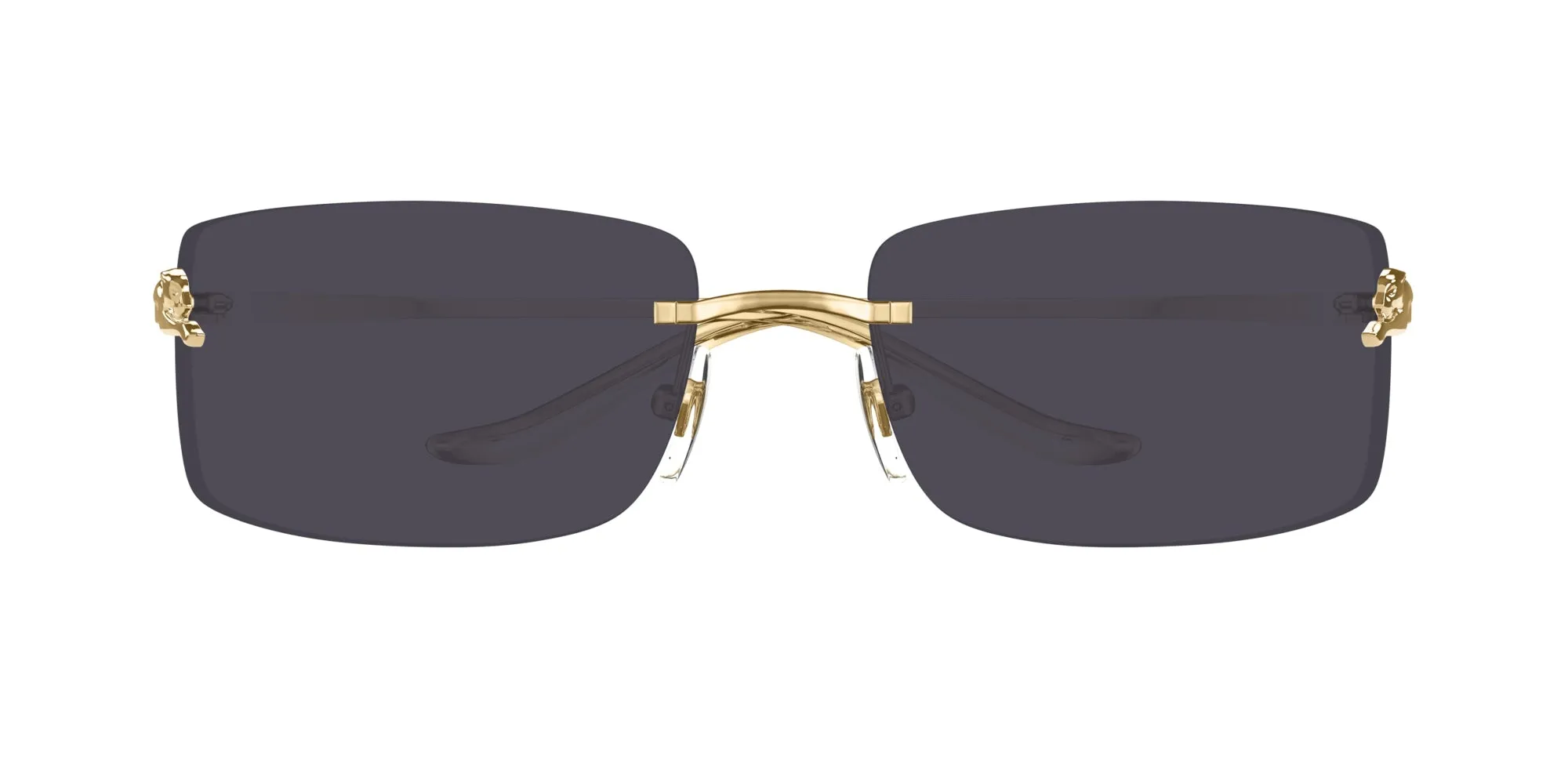 Cartier CT0503S