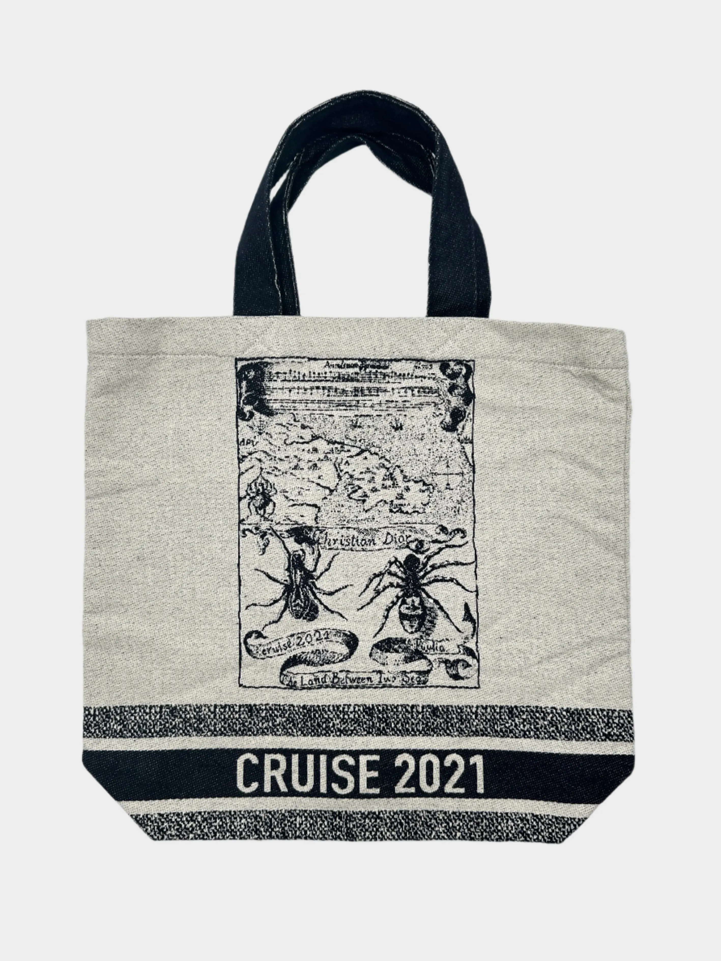 Dior Cruise 2021 Tote Bag in Tela