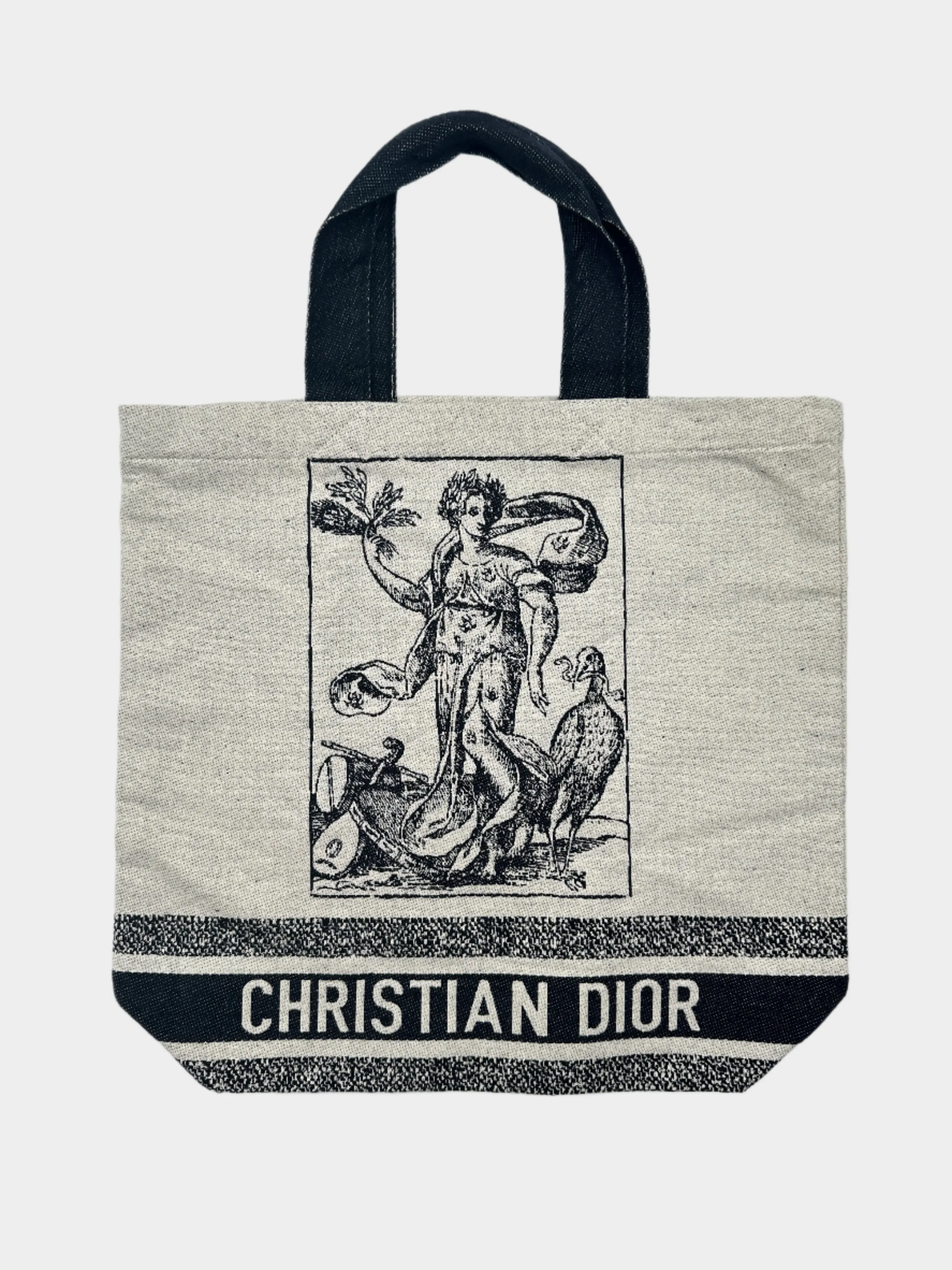 Dior Cruise 2021 Tote Bag in Tela
