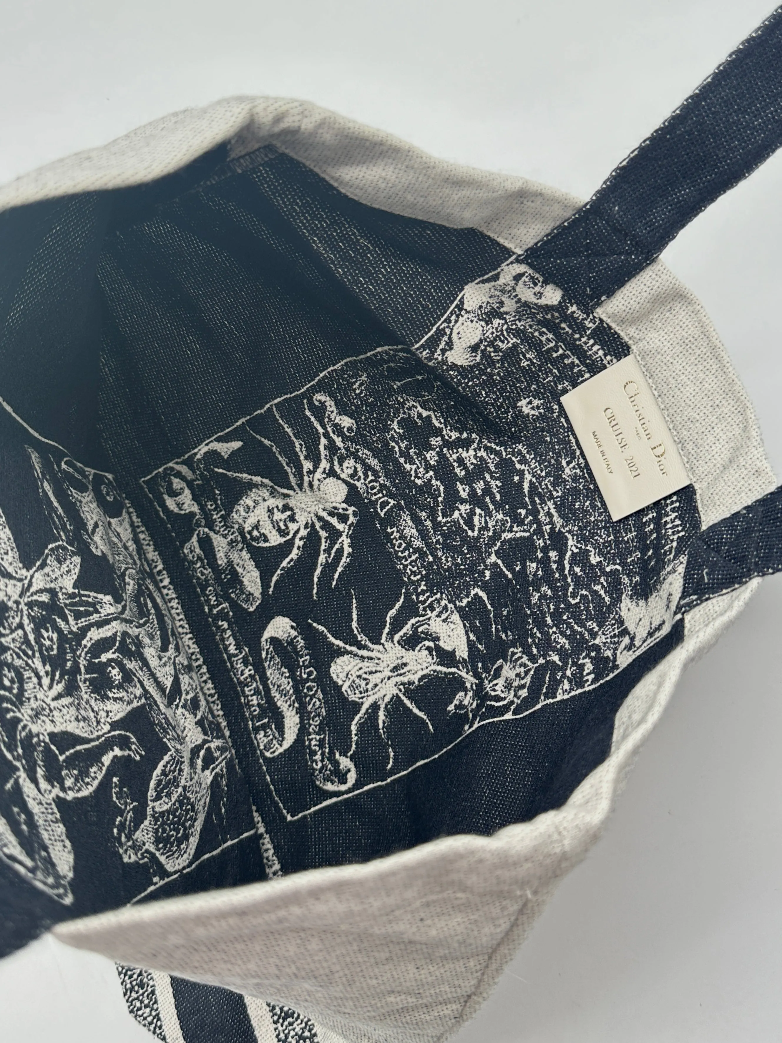 Dior Cruise 2021 Tote Bag in Tela