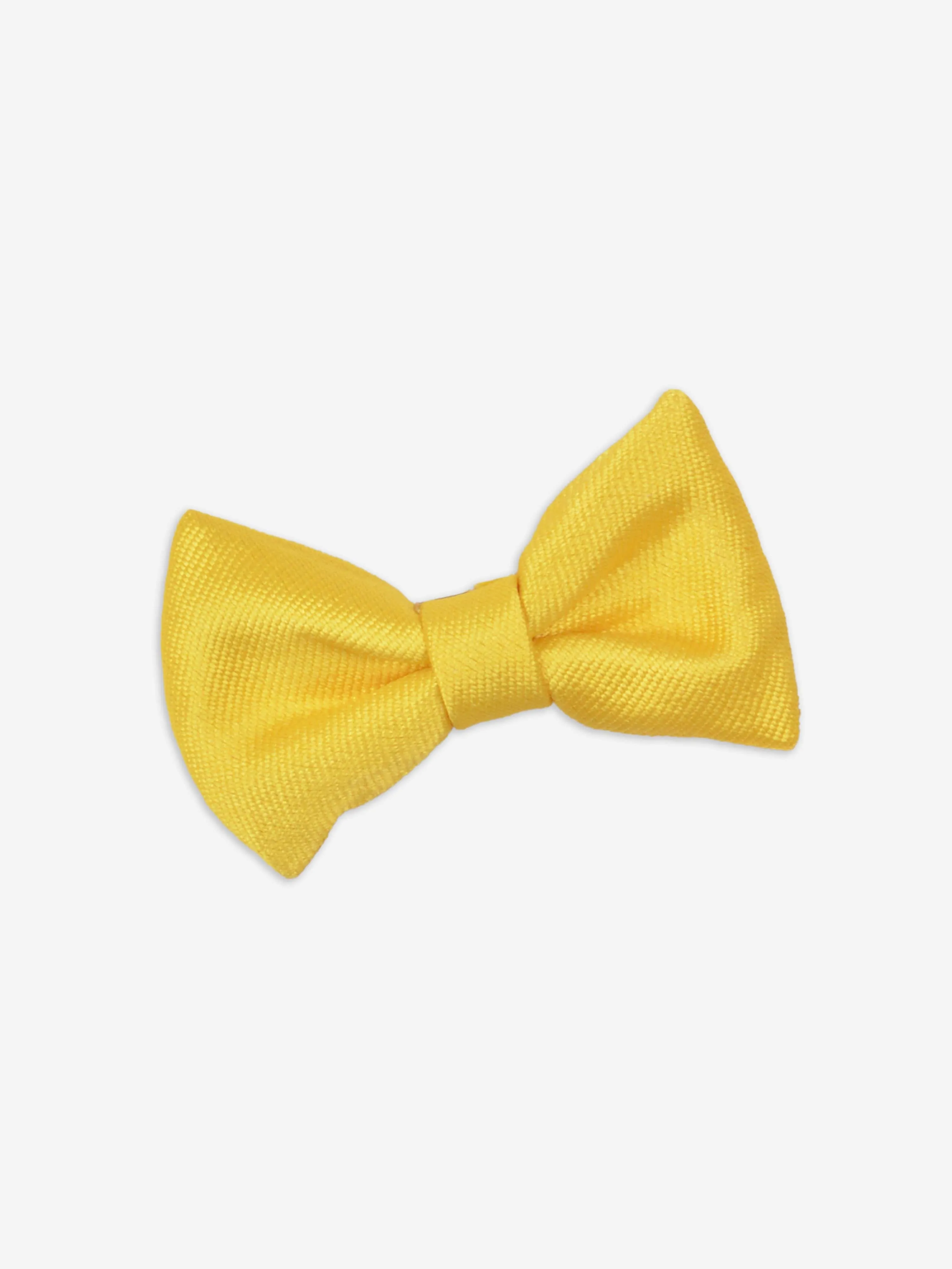 Girls Bow Hairclip Set in Gold