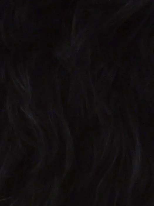 Hayden by Vivica Fox | Lace Front | CLOSEOUT
