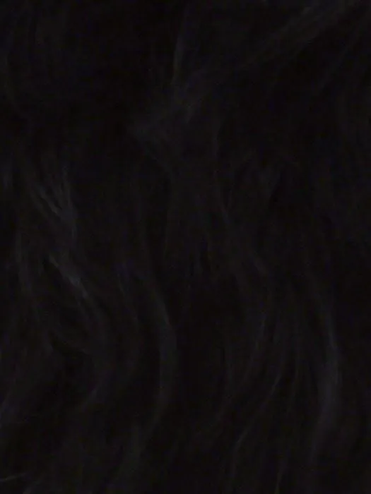 Lavender by Vivica Fox | African American Lace Front Wig | CLOSEOUT