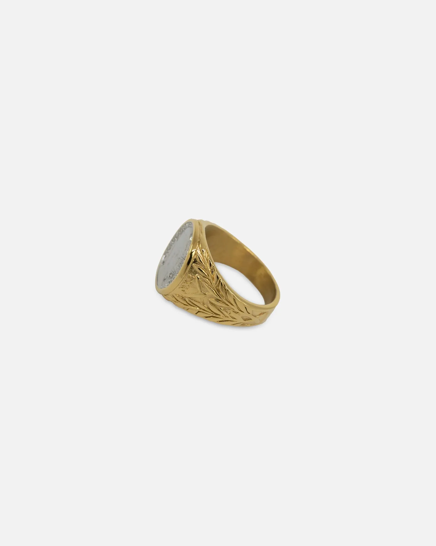 NXS Gladiator Ring Gold/White Gold