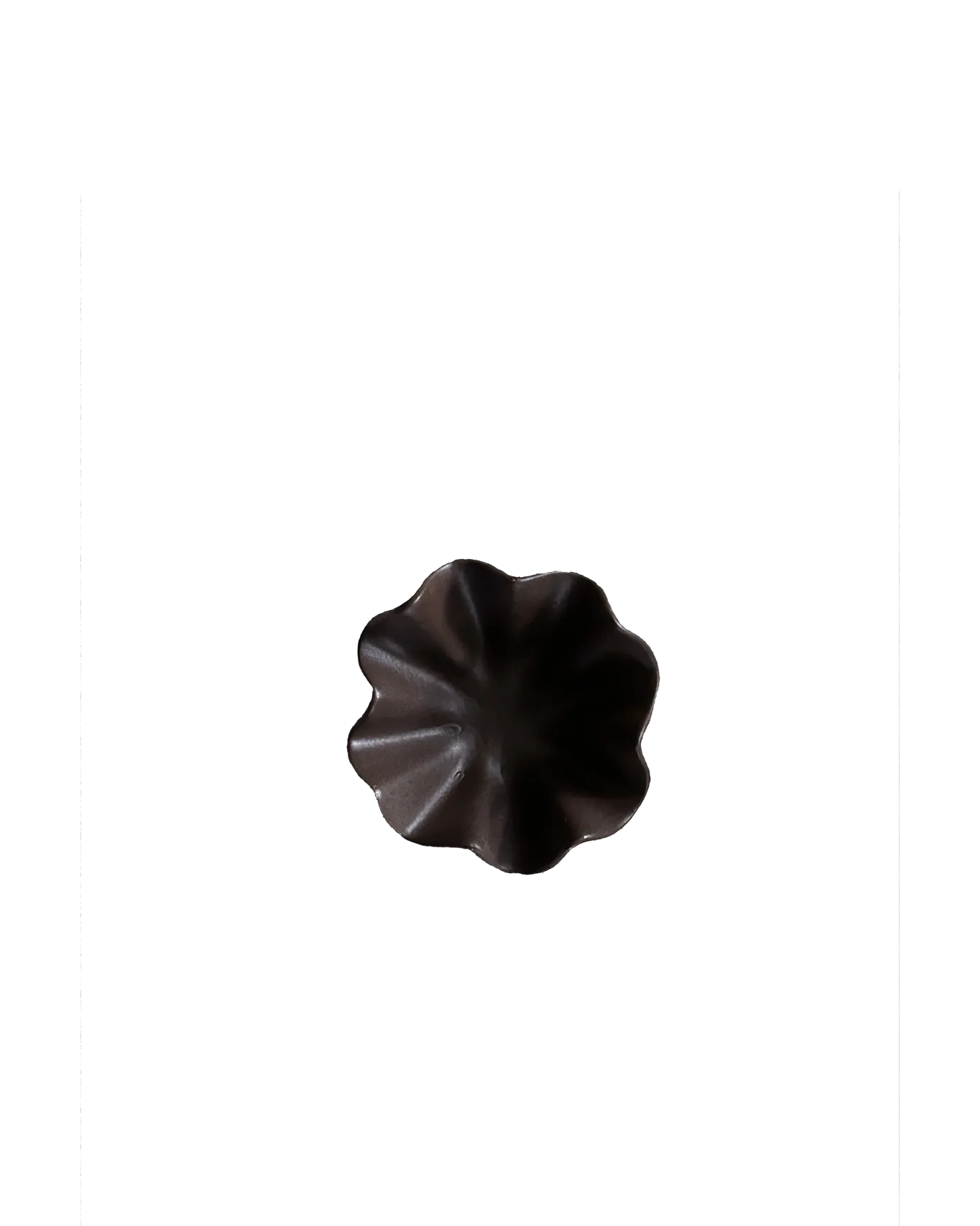 SCALLOP ESPRESSO TRAY