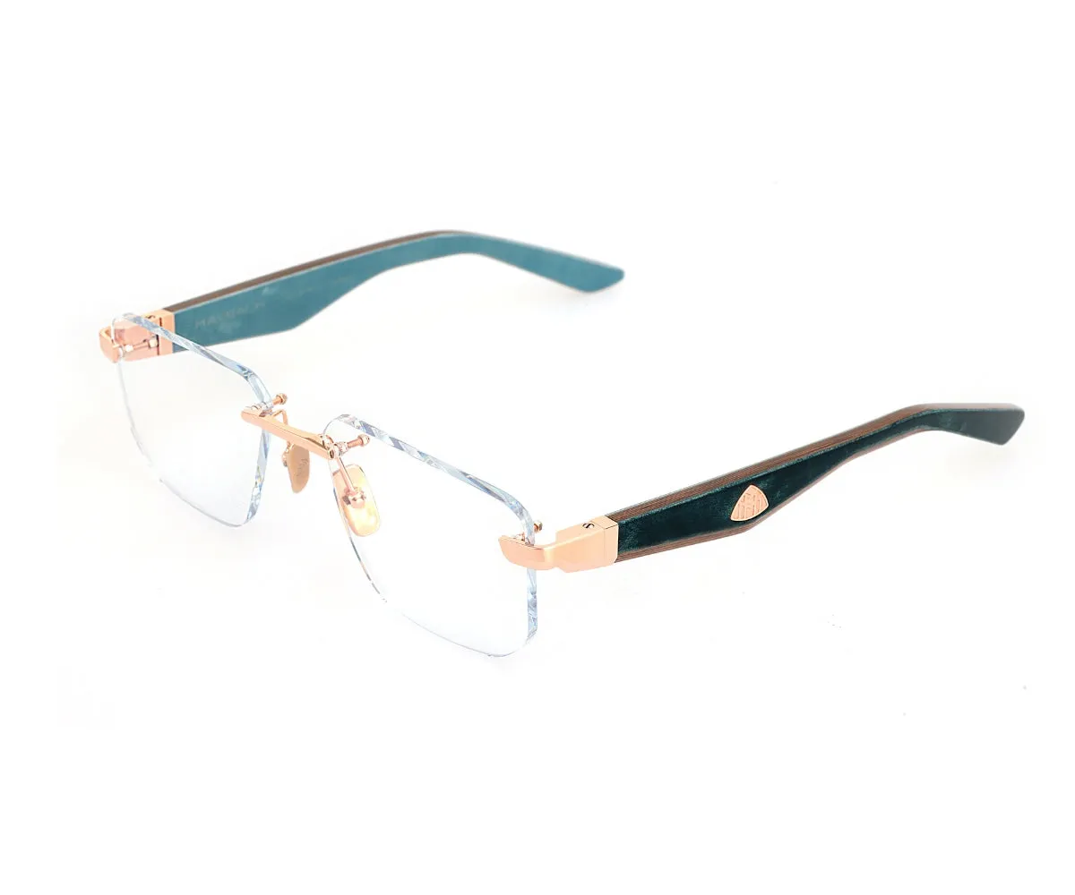 THE VISIONIST I RG/WER/Z25 56