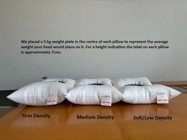 USA Standard Size Firm Pillow 98-99% White Premium Hand Select Polish Goose Down German Batiste TE270